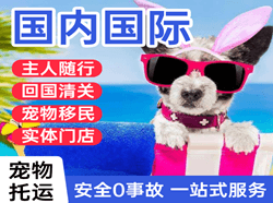 齐齐哈尔航空快递国际宠物托运 【国